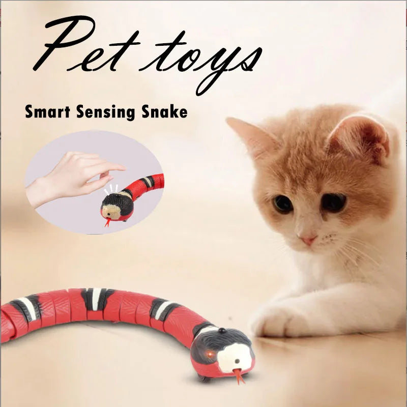 Pet Toys